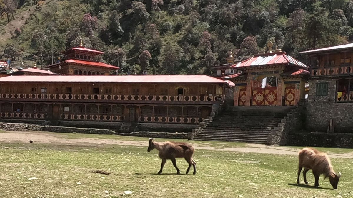 Manaslu Serang Gompa Trek